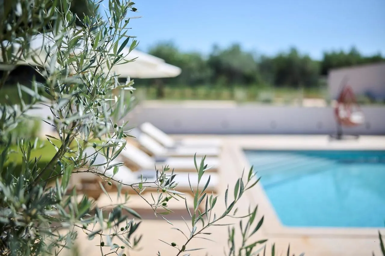 Villa Pura Vida With Pool And Whirlpool Near Umag Materada